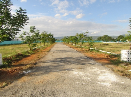 4) 40 Feet black Top Roads.JPG